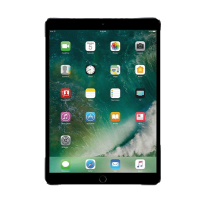 IPad (5EGE)